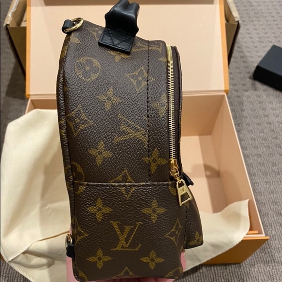 Louis Vuitton Palm Springs Mini - Picture 7 of 12